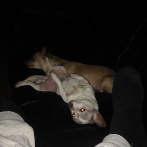 Meet your Posher, Nessa